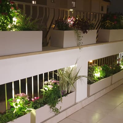 עציצים מוארים עם צמחים על מעקה מרפסת