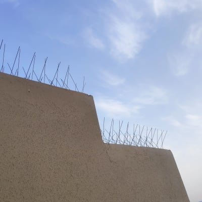 דוקרנים למניעת יונים על קיר חיצוני