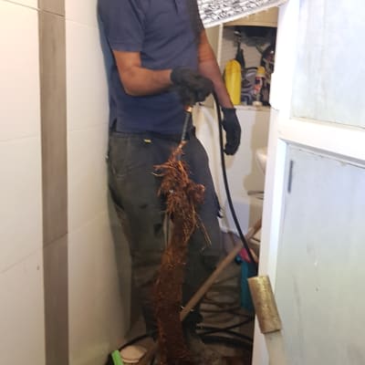 אינסטלטור מחזיק צינור עם שורשים סתומים