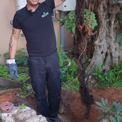 אדם מחזיק שורש עץ גדול בחצר