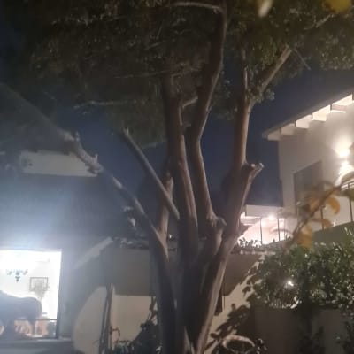 צמצום ועיצוב הנוף