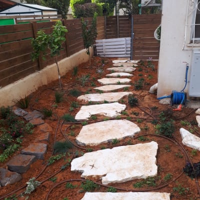 שביל אבנים בגינה עם צינורות השקיה וצמחים