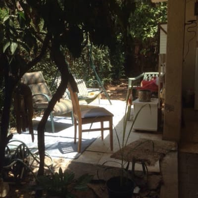 Outdoor area with trees and garden tools