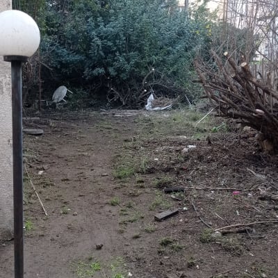 חצר עם עצים ושיחים, אדמה חשופה וענפים גזומים