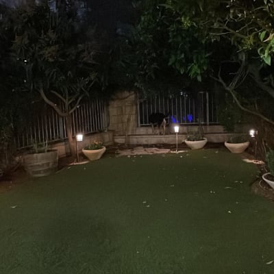 עציצים עם צמחים ותאורה בגינה בלילה