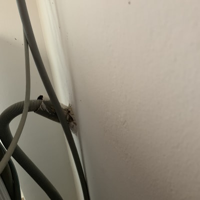 צינורות גומי יוצאים מקיר לבן