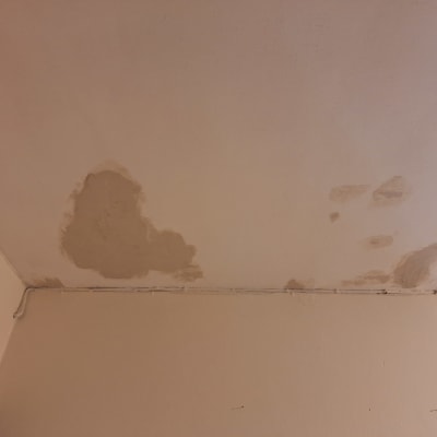 כתמים על תקרה המצביעים על צורך בצביעה