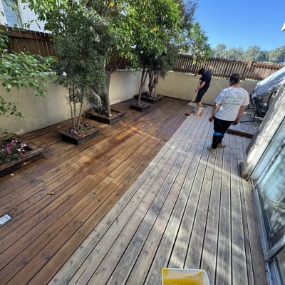 שני אנשים עובדים על דק עץ בגינה עם עצים ופרחים