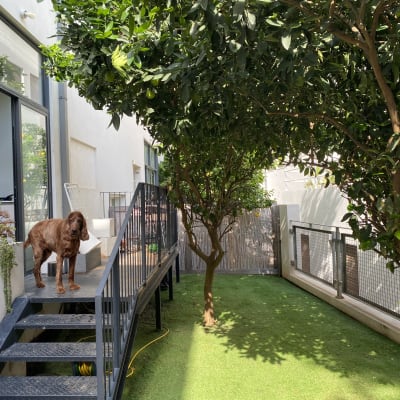 עצים ירוקים ודשא בגינה קטנה