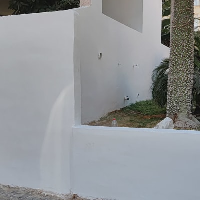 קיר צבוע עם עצים ברקע, מתאים לעבודת שיפוץ