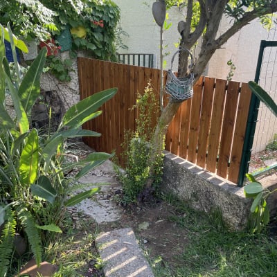 גדר עץ בגינה עם צמחייה מסביב