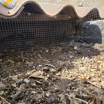 רשת מתכת למניעת כניסת יונים מתחת לגג