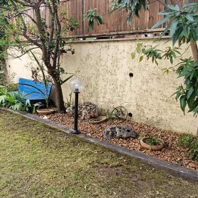 עציצים עם צמחים, שביל אבנים, עצים ופרחים בגינה