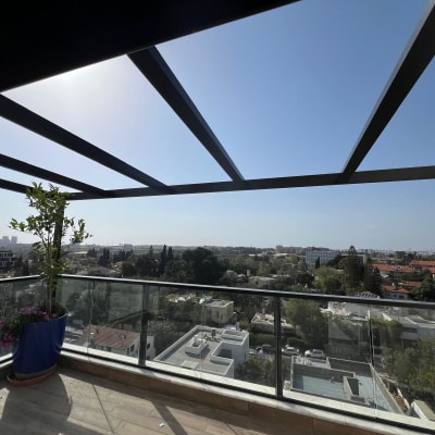 מרפסת עם צמח בעציץ ונוף עירוני ברקע