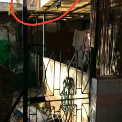 שער מתכת עם צינור תלוי על מסגרת