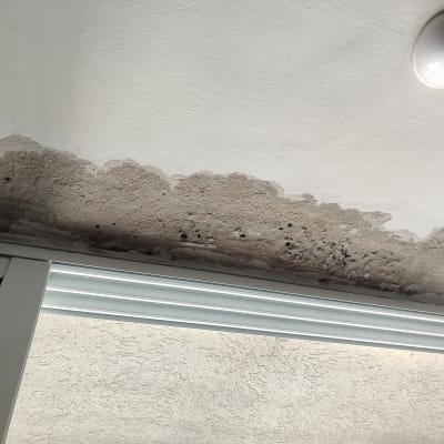 תקרה עם כתמי רטיבות ועובש