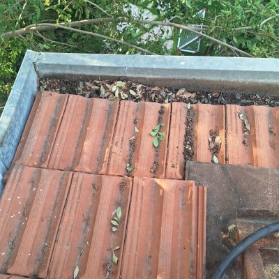 רצפת רעפים עם עלים וענפים יבשים