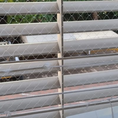 רשת מתכת על חלון למניעת כניסת יונים