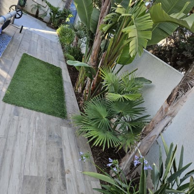 צמחים ירוקים ופרחים בגינה עם דק עץ ודשא סינתטי