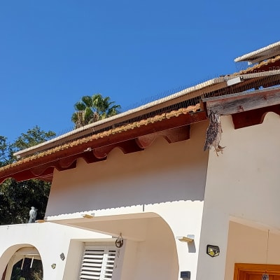 דוקרנים על גג למניעת יונים