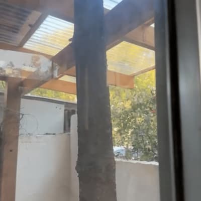 עמוד עץ תומך בגינה עם גג שקוף