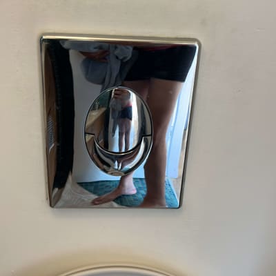 לחצן ניאגרה כסוף עם השתקפות אדם