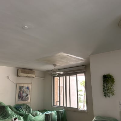 תקרה צבועה, רהיטים מכוסים בניילון ירוק