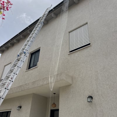 סולם ורשת מותקנים על קיר בית להסרת יונים