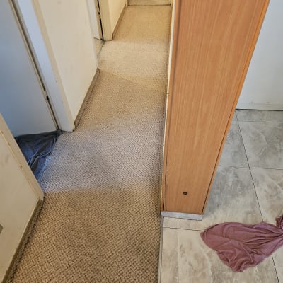 שטיח מקיר לקיר במסדרון עם סימני ניקוי