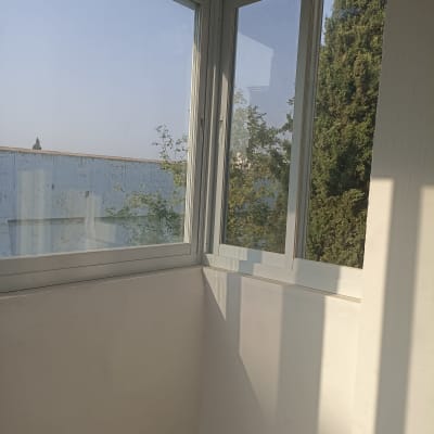 חלון אלומיניום עם נוף לעצים