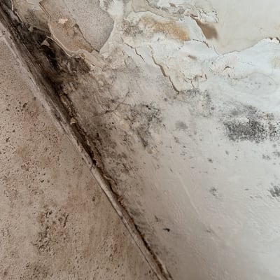 רטיבות ועובש על קיר ותקרה, בעיות איטום