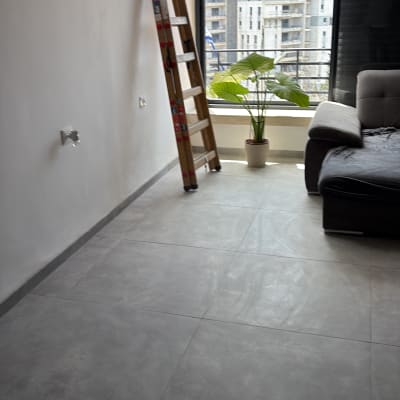 סולם ליד קיר צבוע וצמח בעציץ