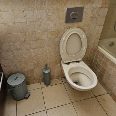 אסלה, מברשת ניקוי ופח אשפה בחדר אמבטיה