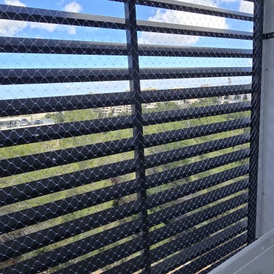 רשת הגנה על חלון למניעת כניסת יונים