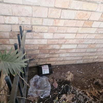 תחנת פיתיון להדברת מזיקים ליד קיר לבנים