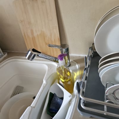 כיור מטבח עם ברז, סבון כלים וספוג