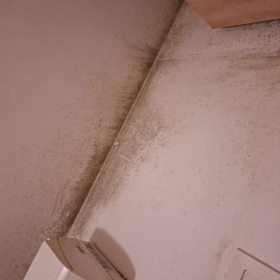 קיר עם סימני עובש ליד מזגן