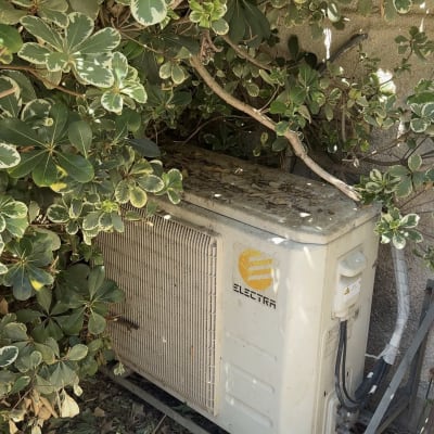 יחידת מזגן חיצונית בין שיחים וענפים