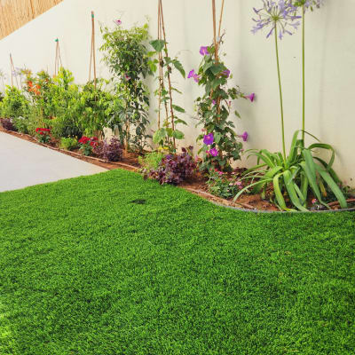 צמחים ופרחים מטפסים על קיר עם דשא ירוק