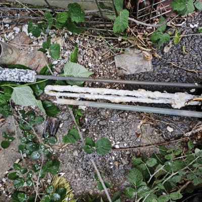 חלקי ציוד חשמלי על הקרקע עם צמחייה מסביב