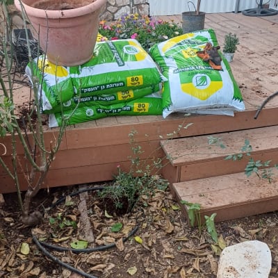 שקי אדמה ועציץ בגינה עם לימונים