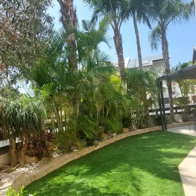 עצים גבוהים ודשא בגינה מטופחת