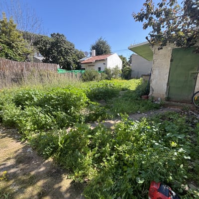 עשבים שוטים בגינה עם מכסחת דשא אדומה