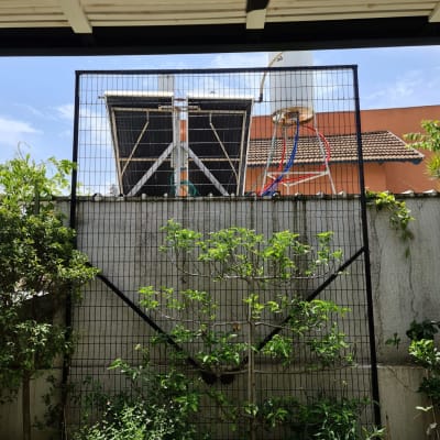 מסגרת מתכת שחורה עם צמחייה ירוקה מסביב