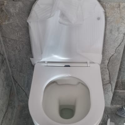 אסלה עם מכסה פתוח, לחצן הדחה על הקיר