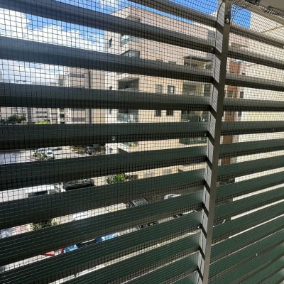 רשת מתכת מותקנת על חלון למניעת כניסת יונים