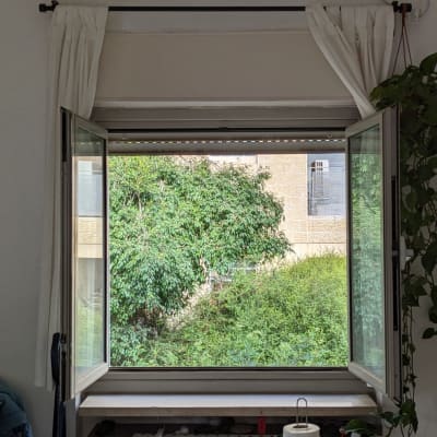 חלון אלומיניום פתוח עם נוף של עצים ירוקים