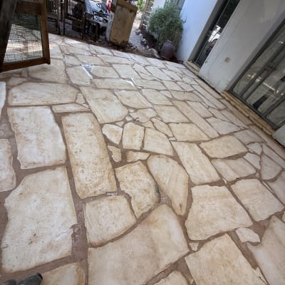 ריצוף אבן בחצר עם צמחייה מסביב