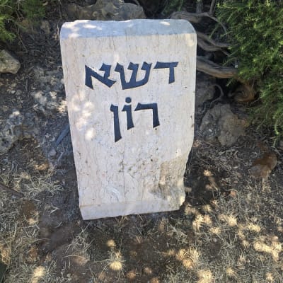 מצבה עם כיתוב בעברית על רקע טבעי