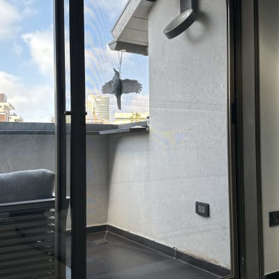 דלת אלומיניום עם מסגרת כהה ומסך רשת